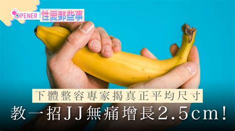 陰莖種類|男性生殖系統